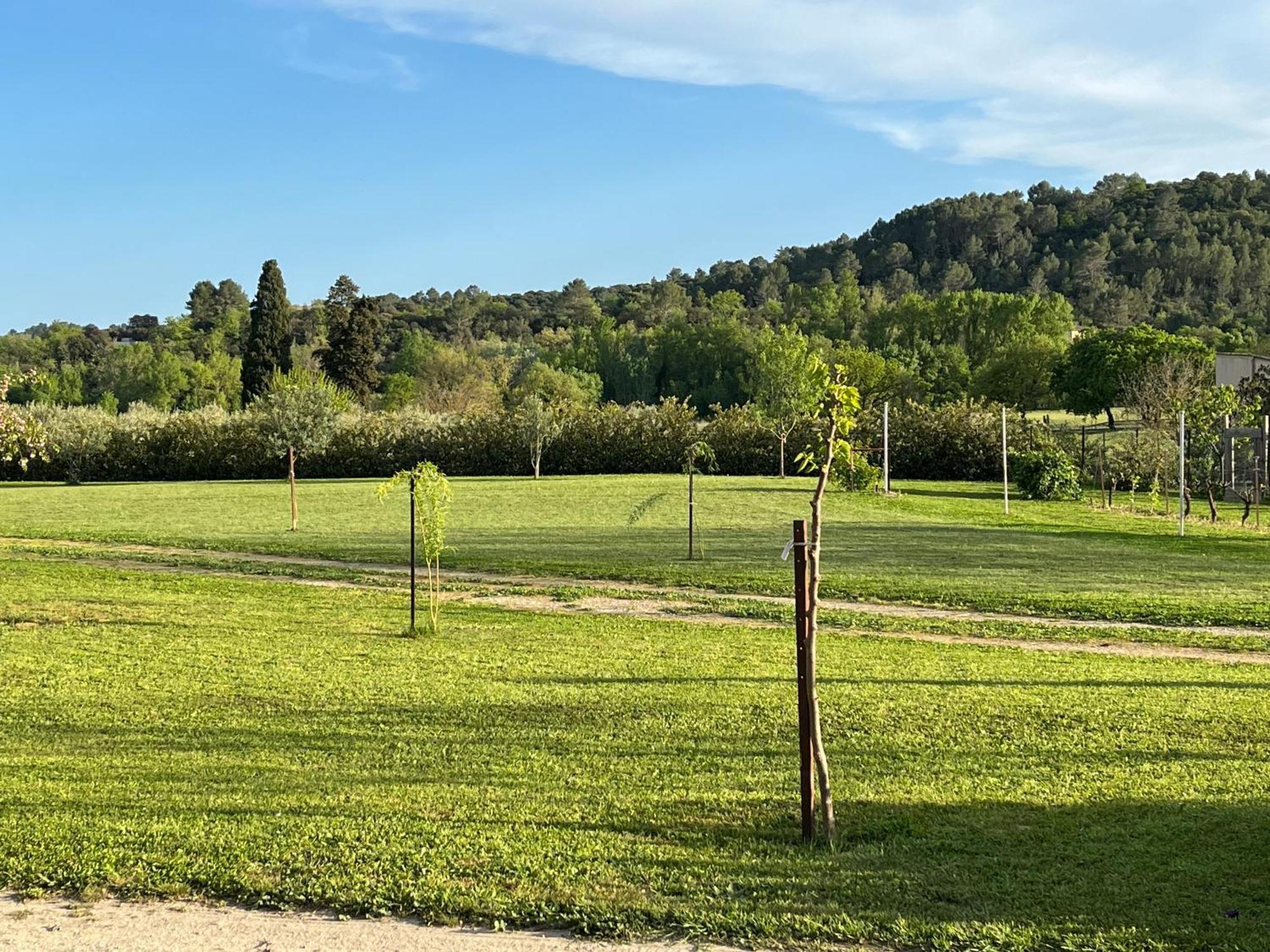La Bergerie Domessargues Exterior foto