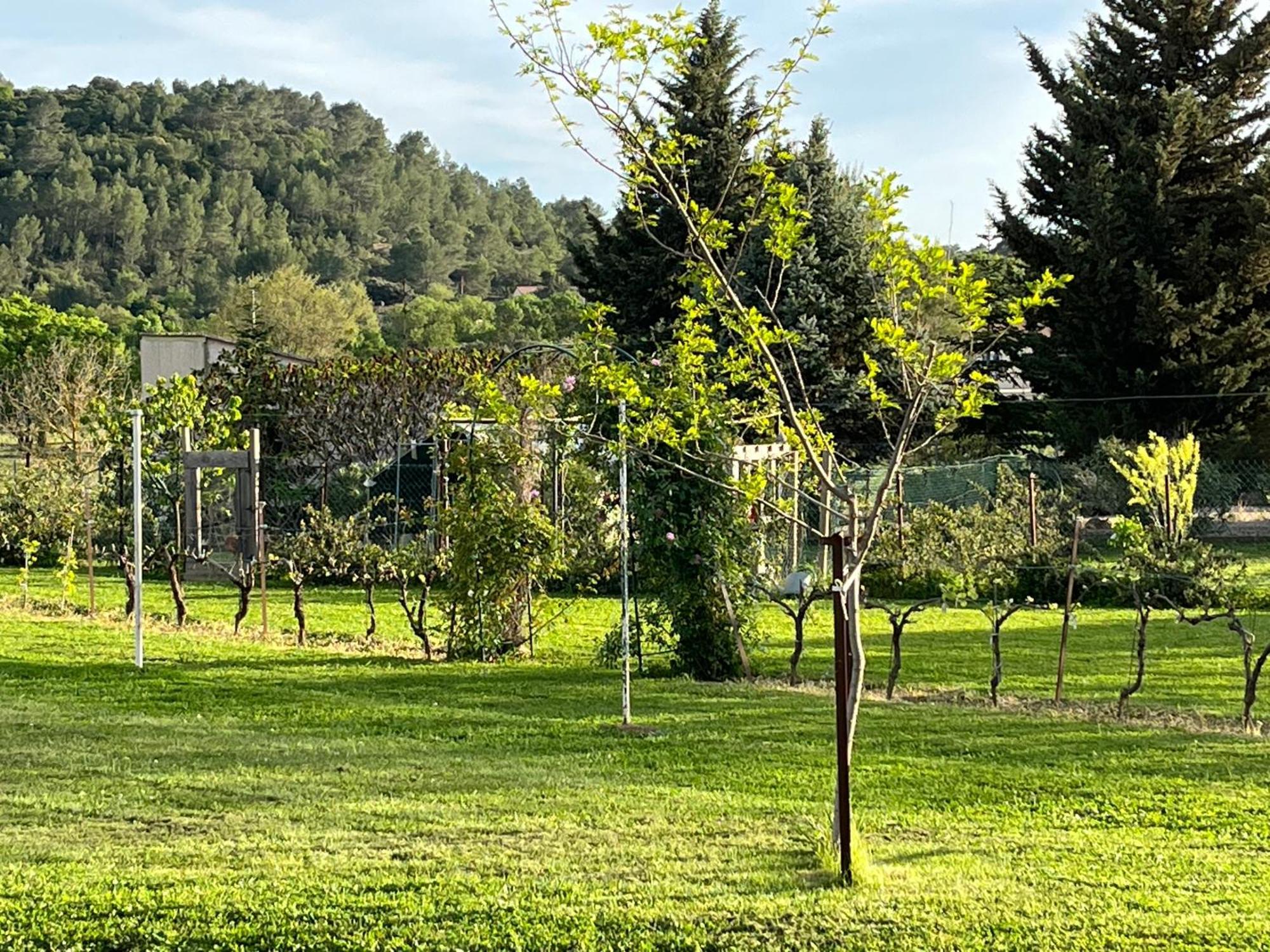 La Bergerie Domessargues Exterior foto
